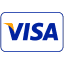 Visa Credit Card Payment